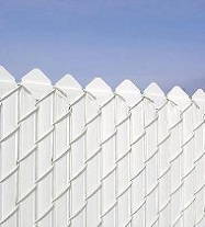 Latte de clôture Mystic Pignon